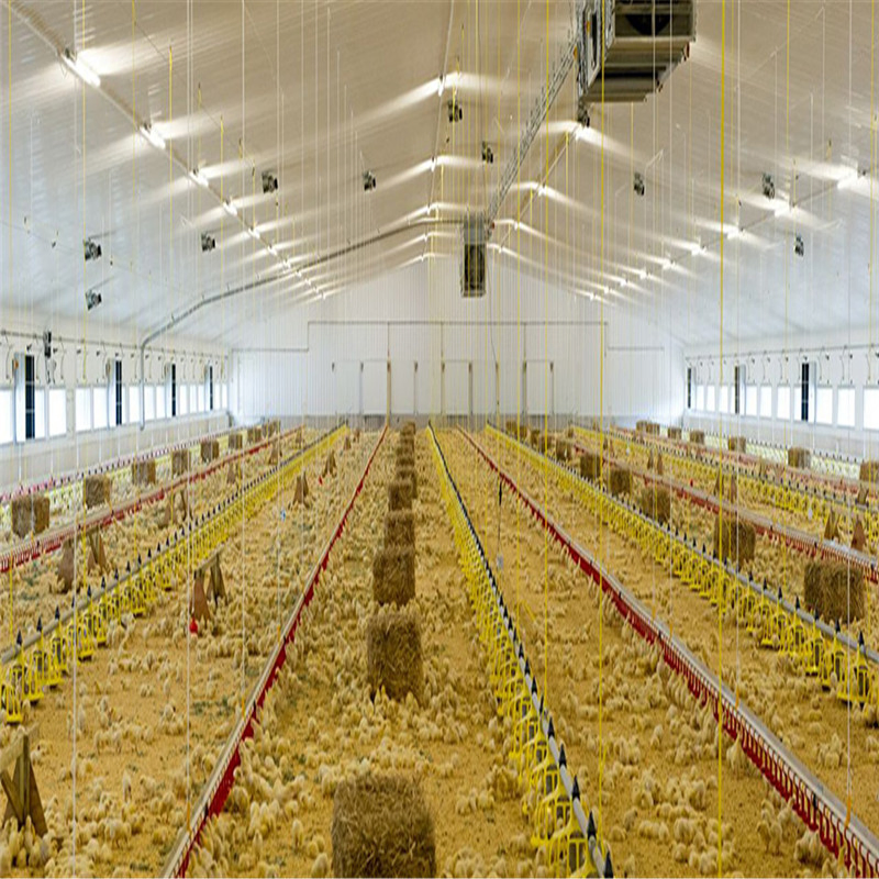 High Quality Light Construction Steel Structures Poultry Farm House Design