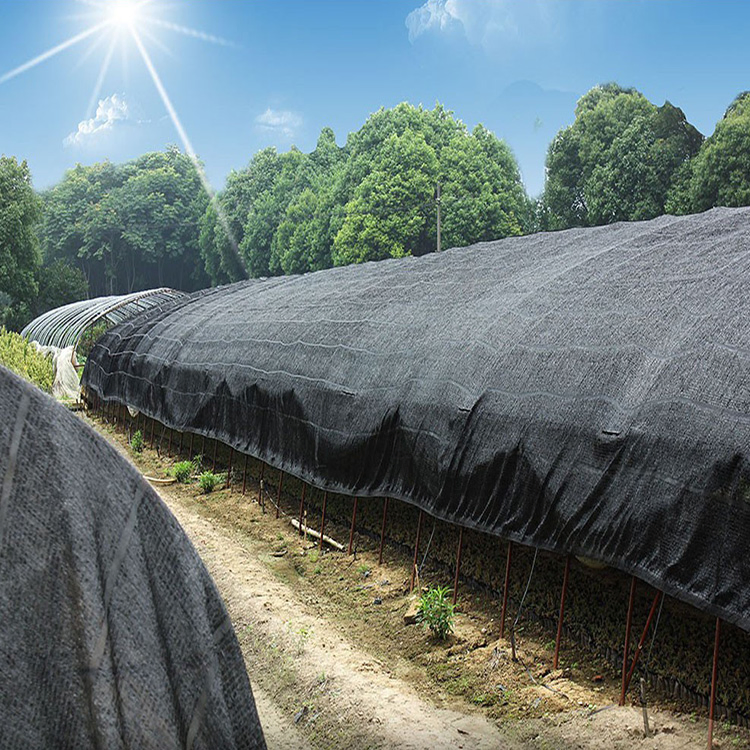 Easy and Simple to Handle 6 Needles 8 Needles Green Anti UV HDPE Windbreak Shade Netting Shade with Mosquito Net