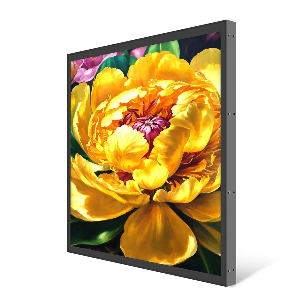 9.4 Kg 35.7 Inch 1866*2160 3000: 1 Art Picture Video TFT LCD Digital Photo Frame