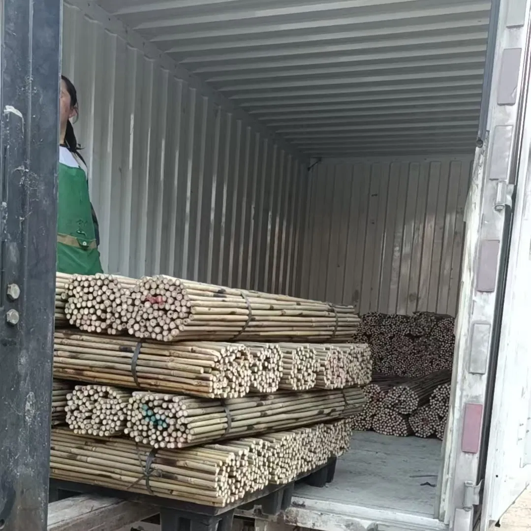 Premium Quality Bamboo Poles Canes, Ideal for Garden Trellis and Support Structures