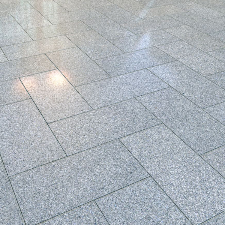 Indoor Outdoor Cheap Light Grey Granite Stone Wall Floor Design Stone Flooring Polished Granite Tile