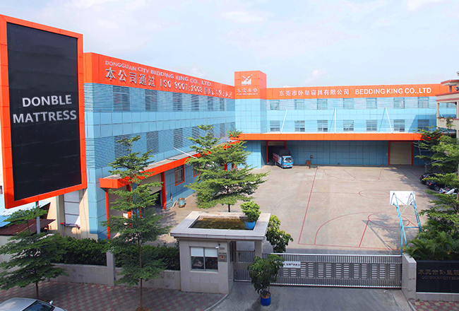 King Double Size Euro Top Bed Mattress Compress Roll Packing Vacuum Mattress