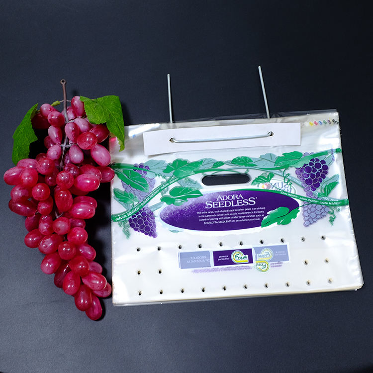 Manufacturer Factory Plastic Package Fruit Vegetable Bags with Logo