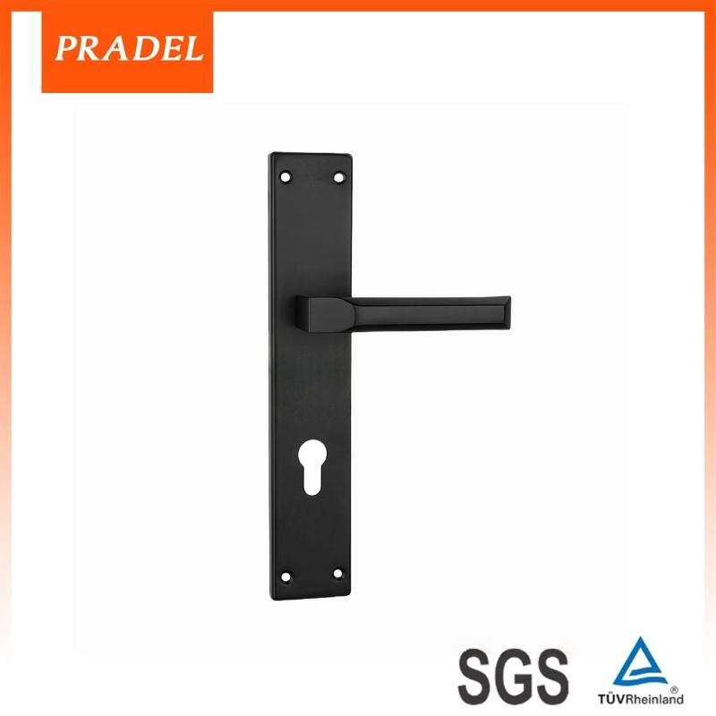 Premium Stainless Steel Exterior Door Handle with Lock Plate