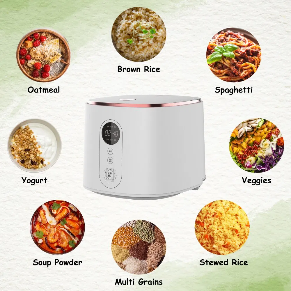 OEM Small Appliances Multifunctional Cooker Electric Kettle for Soup Vegetable and Egg Boiling for 1-2 Person