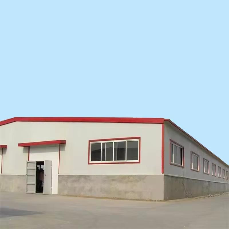Luxury Prefabricated Steel Structure Metal Construction Industrial Building for Warehouse