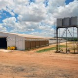 Poultry House/Building Customized Design Steel Frame Structure Farm Building Poultry Chicken Farm House Cage