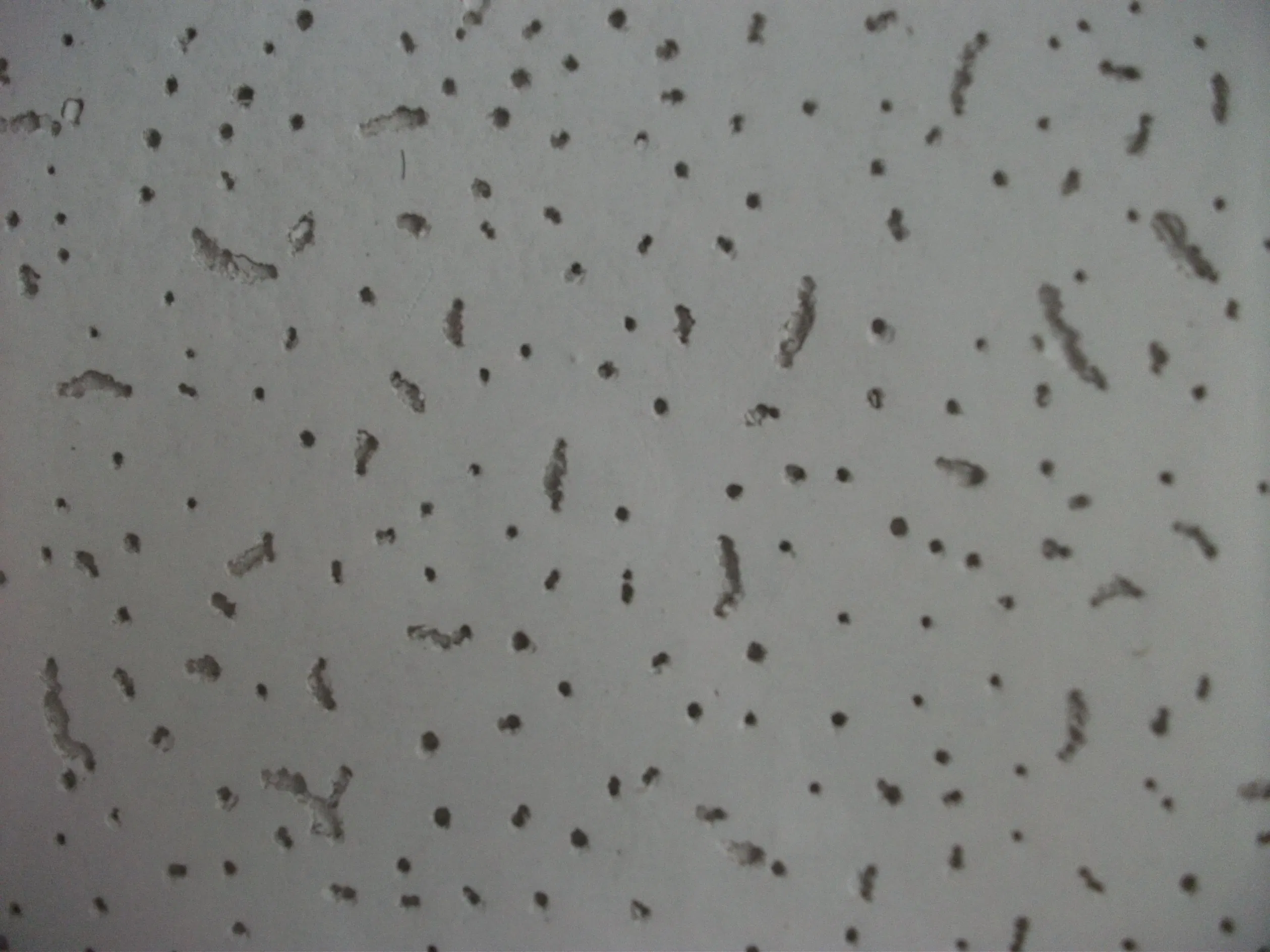 Durable Mineral Fiber Acoustic Ceiling Tiles for Commercial Spaces. Eco-Friendly Mineral Fiber Acoustic Ceiling Panels for Noise Reduction