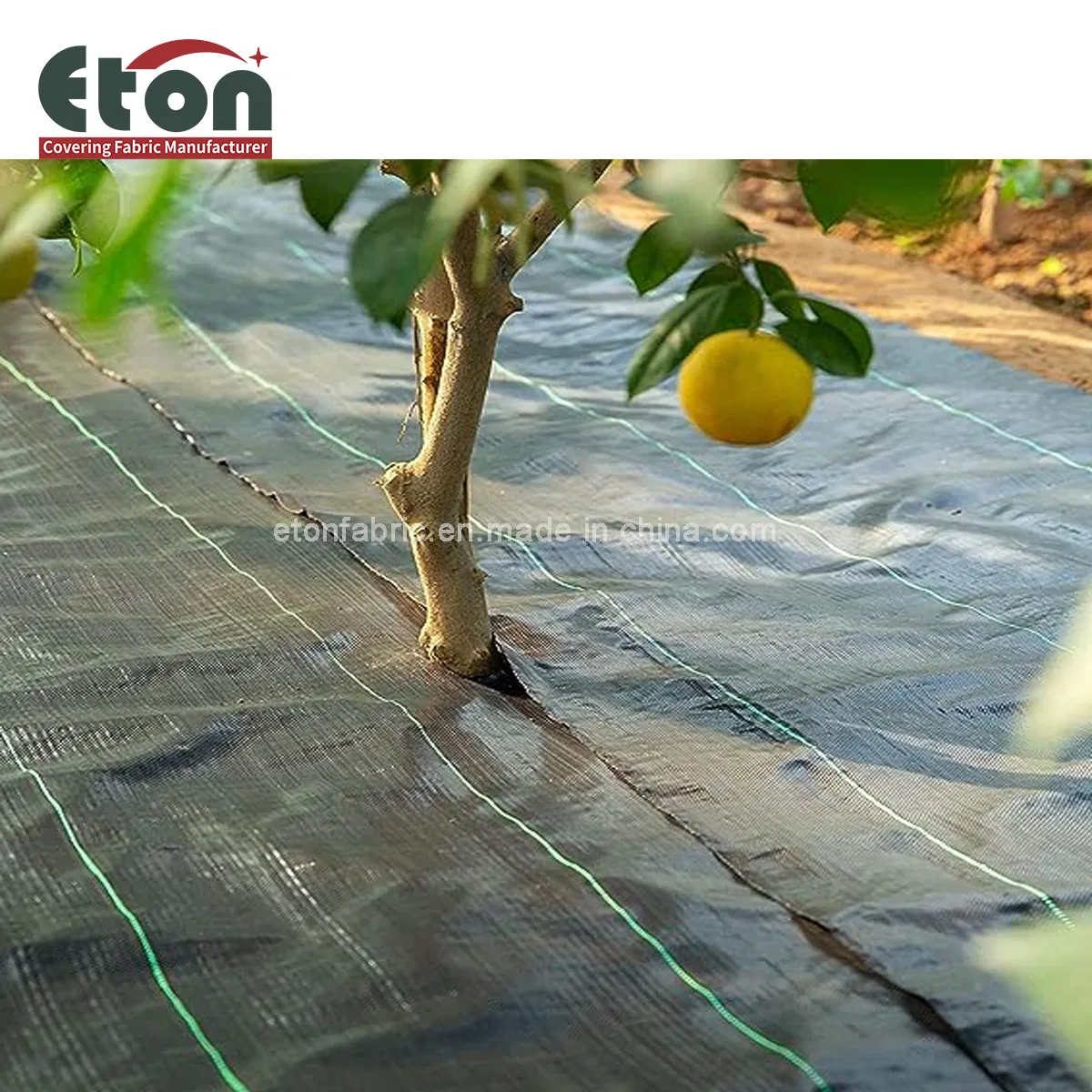 Biodegradable Agricultural Black PP Polypropylene Plastic Mulch Film