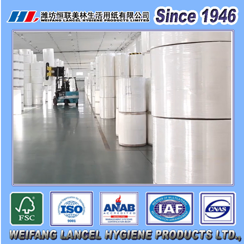 China Produce Tissue Paper Jumbo Roll for Toilet Paper/Toilet Tissue/Kitchen Paper Towel/Hand Towel