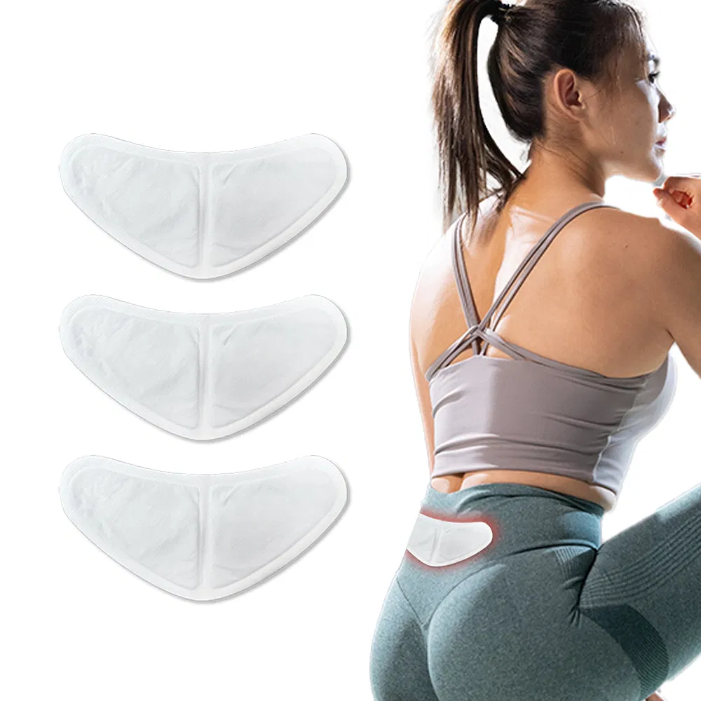 Customized Waist Warmer Pads Heating Pad for Winter Portable Self Heating Waist Warmer Patch