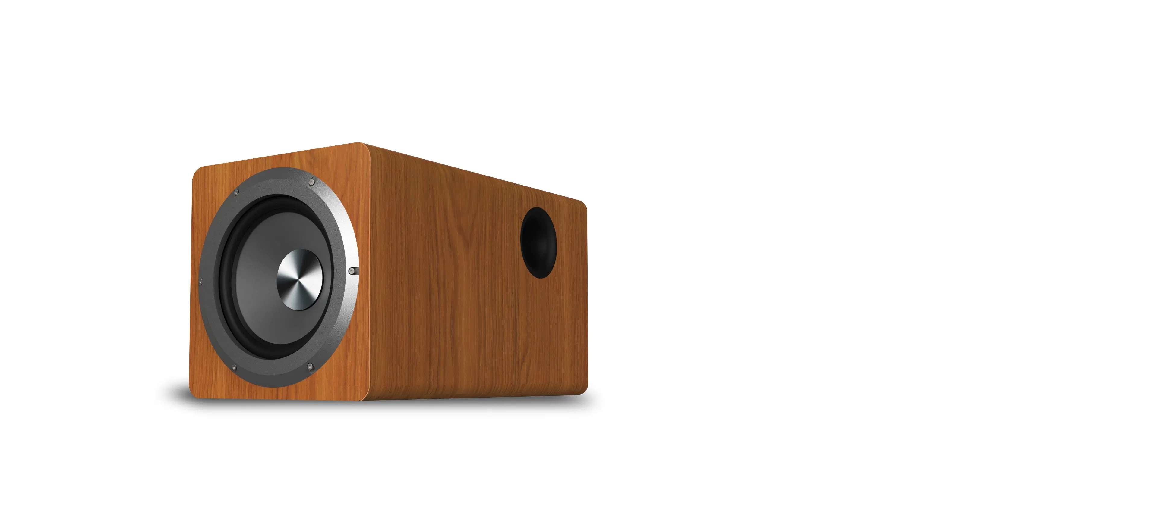 Tianlai Tl-D6 Lautsprecher Outdoor 6.5 Inch Small Subwoofers 100 Watt Wooden Active Subwoofer Speaker