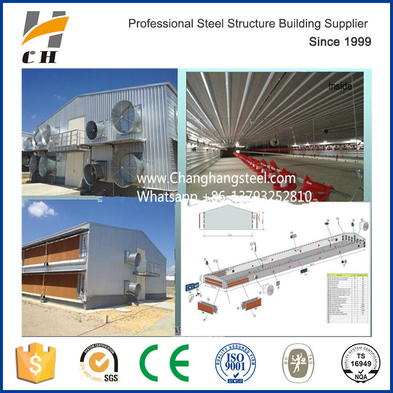 Prefabricated Automatic Equipments Commercial Poultry Chicken House/Farm/Shed