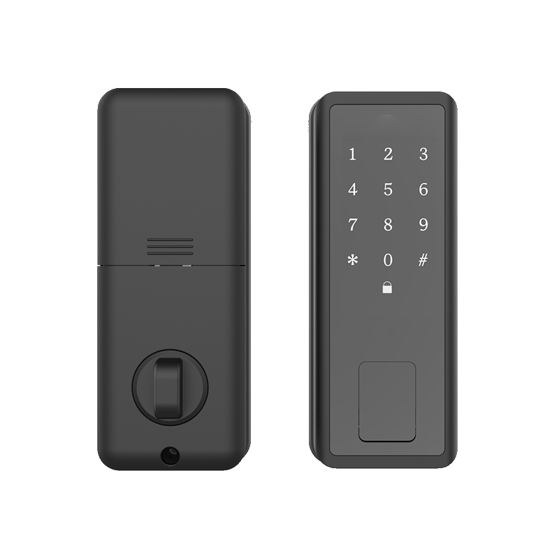 Best Sale Lock Smart APP Remote Control Electronic Rim Lock Fingerprint Card Password Smart Home Door Lock