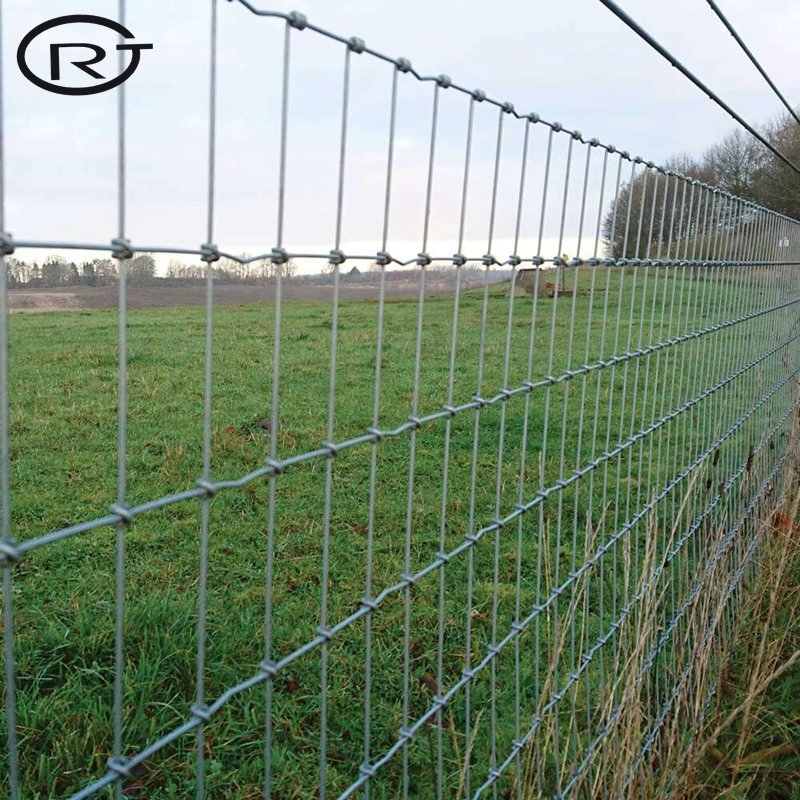 Construction Decoration Fencing in China Wire Mesh Fence for Sale