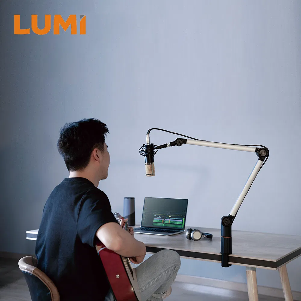 OEM ODM Universal Computer Desk Microphone Stand Mic Boom Arm Mount