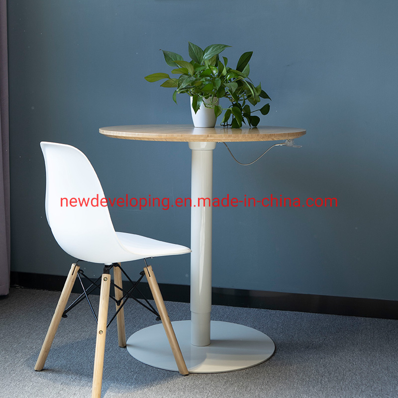 Eco Friendly Natural Bamboo Top Gas Spring Desk