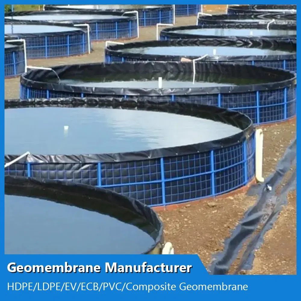 Customized ASTM Anti-Seepage Waterproof Impermeable Smooth Textured HDPE/LDPE/PE/EV/Ecb/PVC Textured/Composite Geomembrane Manufacturer