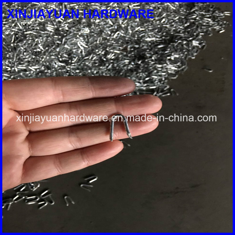 Zinc Coated U Shape Wire Staple Nail 1/2''-3''