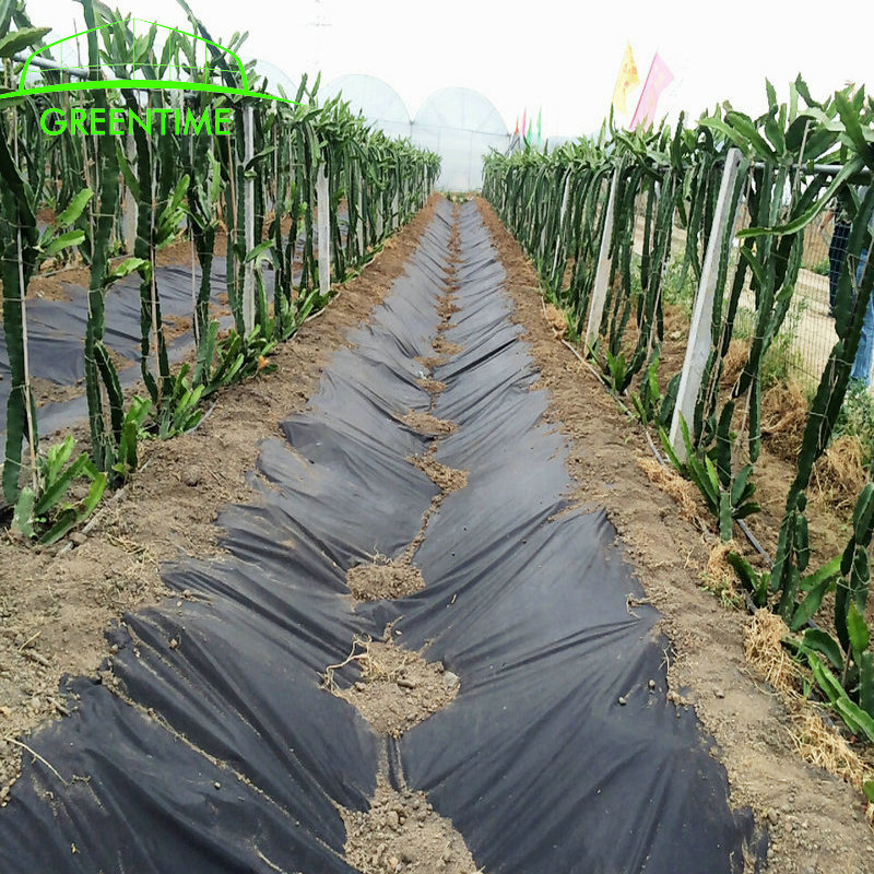 UV Resistant Ground Covering Agricultural Nonwoven Film Non-Woven Agriculture Black Mulch Film