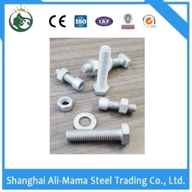 Hex Bolt Anchor Bolt Carriage Bolt Used for Alloy Bolt Gasket with Thread Bolt and Nut Assembly with Thread Grade 8.8 Grade 12.9. Gr. 10.9 Alloy Steel Bolts