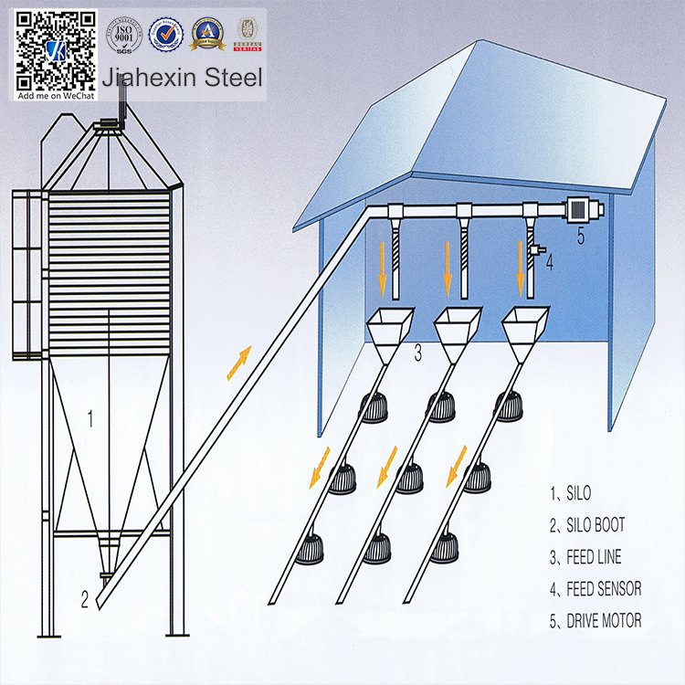 The Low Cost Steel Structure Chincken House