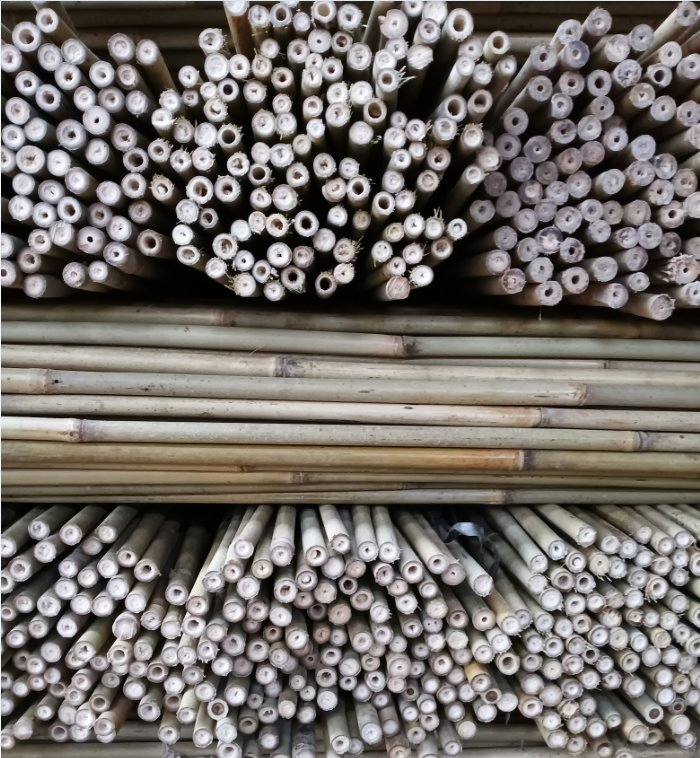 Dried Treated Bamboo Poles/Canes/Stakes Poles for Bamboo Raw Garden Plant Support