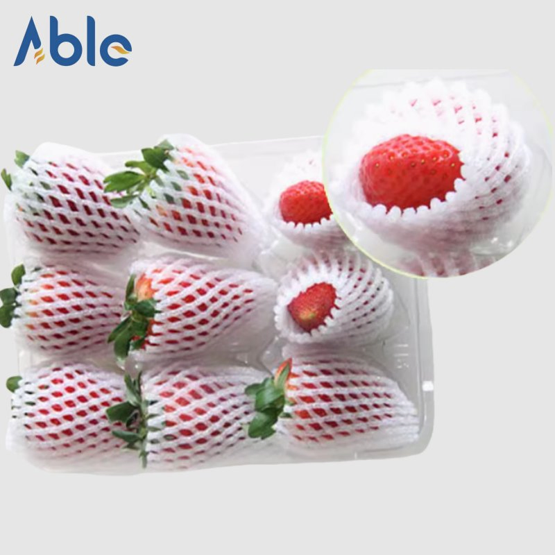 Fruit Protection Net Strawberry Netting Apple Net Orange Net Eggs Protection Net Quakeproof Net