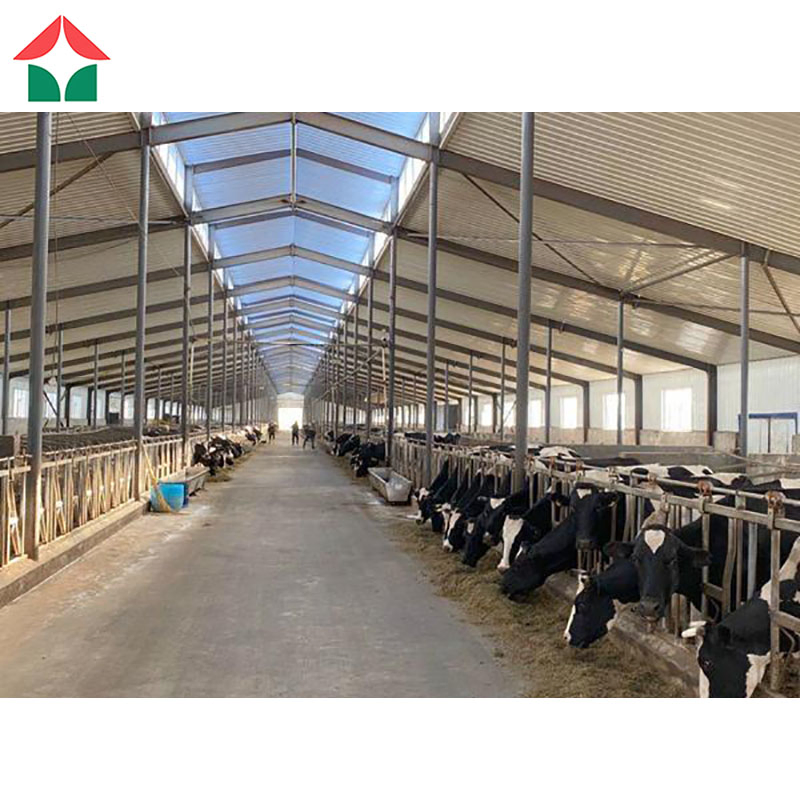Low Cost Steel Structure Cow Shed Cattle House