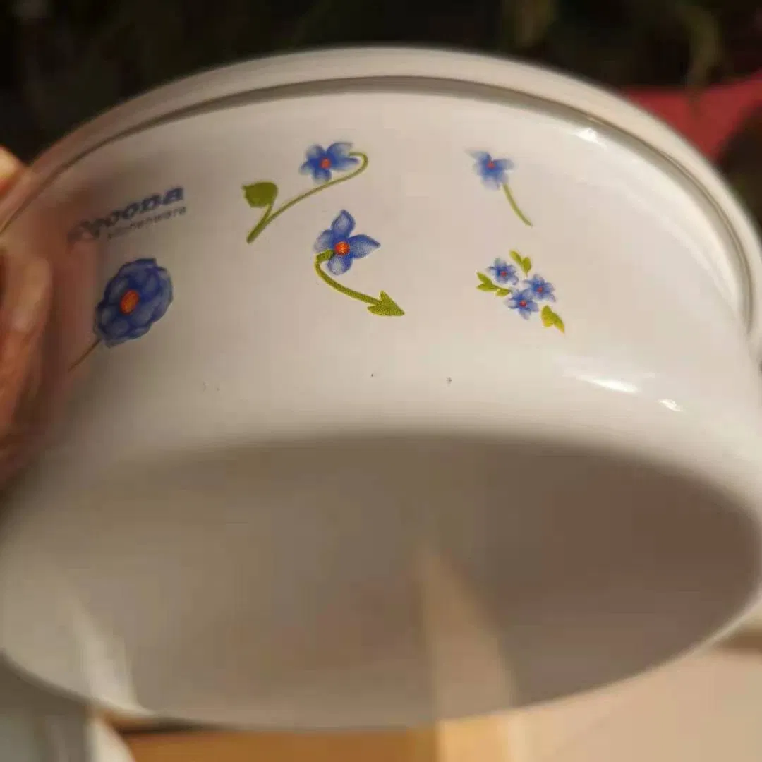 Factory Direct Sales 5 Pieces Enamel Storage Bowl 10-12-14-16-18cm with Plastic Lid