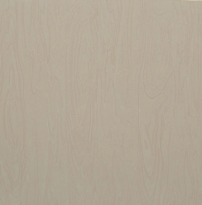 Foshan Hot Sale Building Material Polished Floor Tile (F604P)