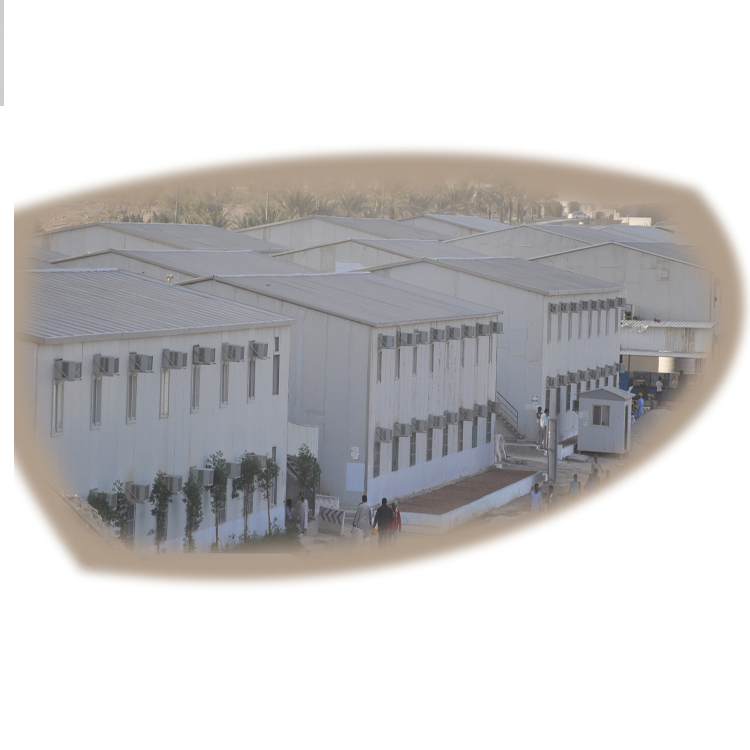 Prefabricated Movable Dormitories Simple Green Export Prefab House for Sale