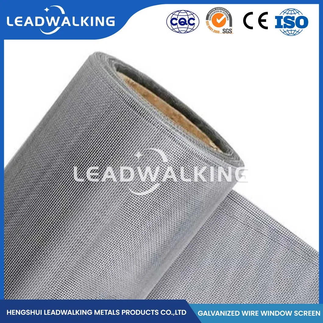 Leadwalking Plain Weave Window Screen 0.8m-1.8m Width Zinc-Plated Window Screen Suppliers High-Quality China Modern Design Style Galvanized Window Screen