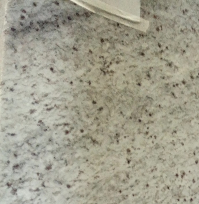 Wholesale Deck Bathroom Kitchen Bullnose Tops White Royal White Granite