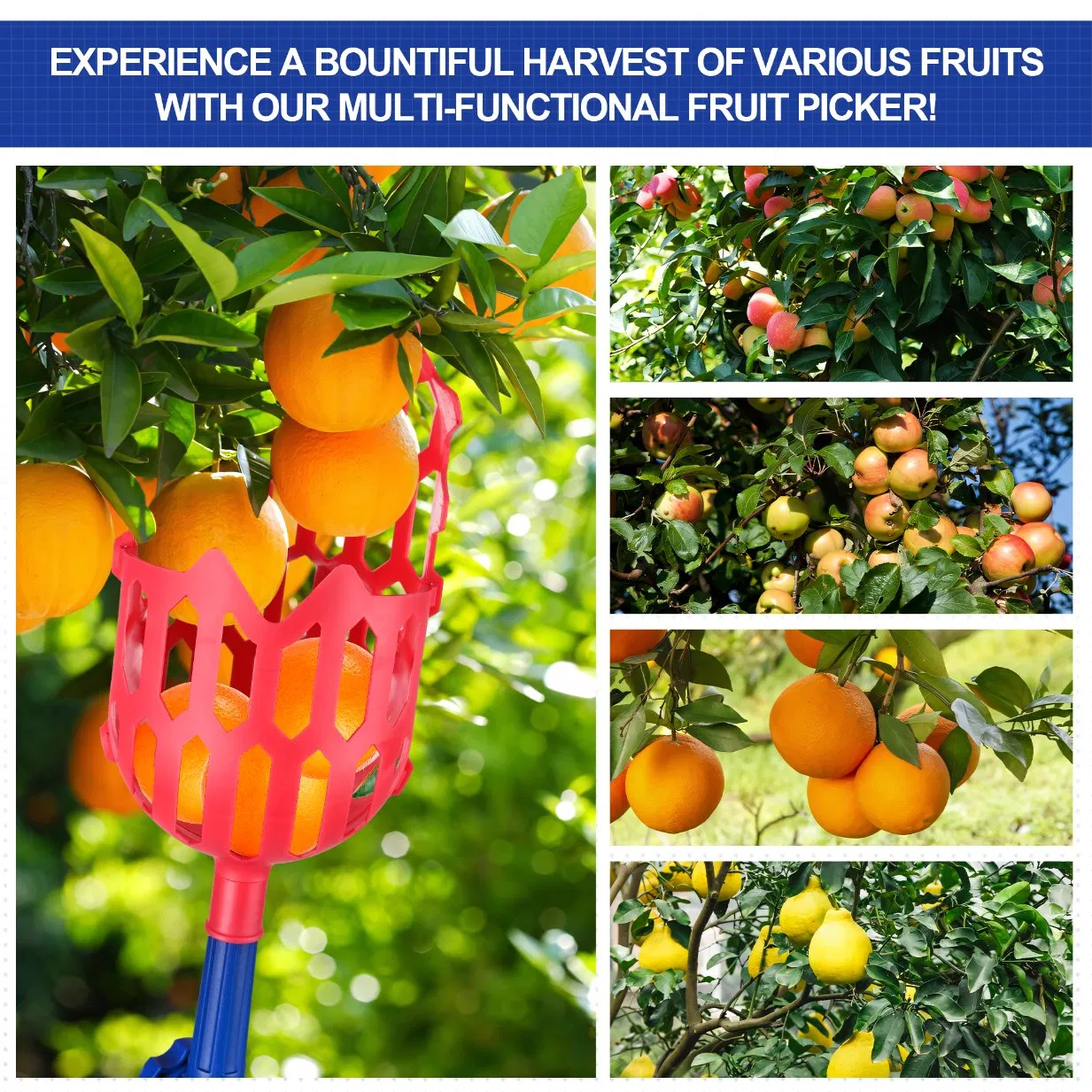 Extra-Long 24FT Good Grip Fruit Picker Adjustable Plastic Basket Orchard Harvesting Tool