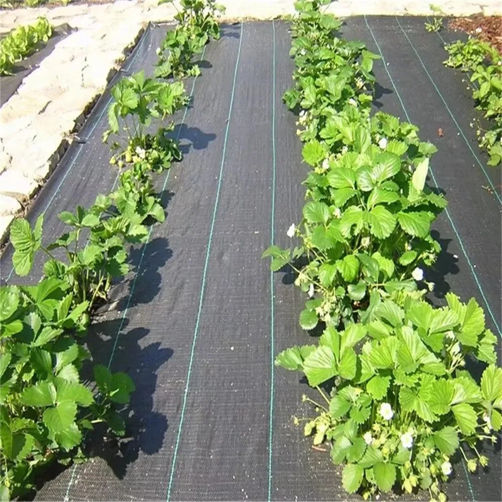 Agricultural Greenhouse Ground Cover Landscape Fabric Geotextile Black Weed Barrier Control Mat