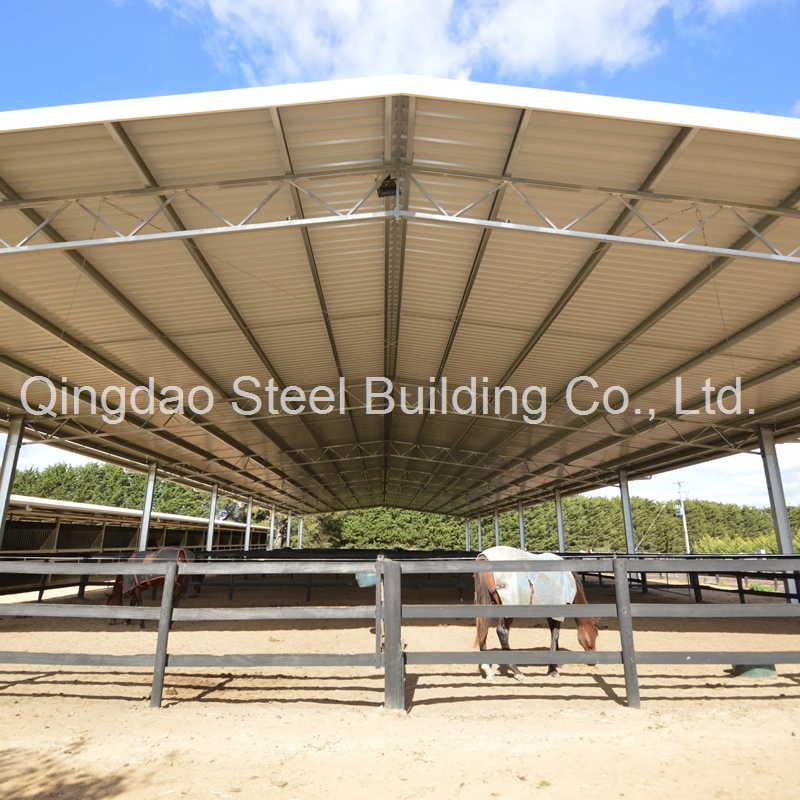 Factory Supply Customized Design Galvanized/Painted Steel Structure Covered Horse Riding Arena