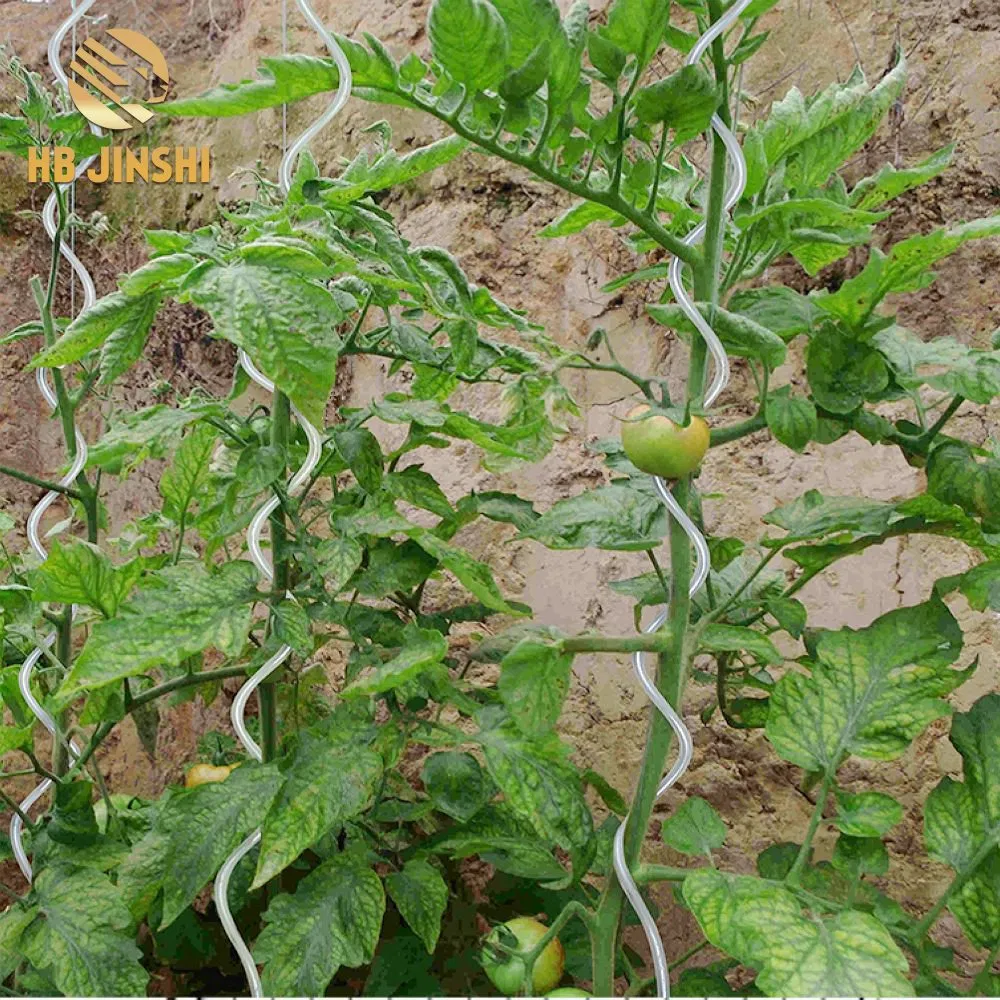 180 Cm Height Galvanized Spiral Tomato Stake