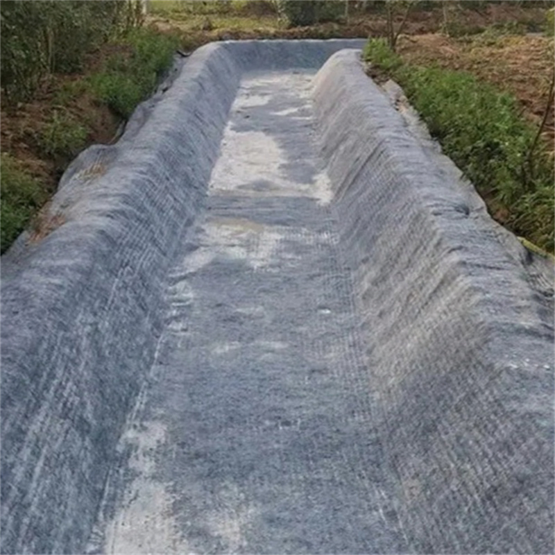 Slope Stabilization with Cement Blanket