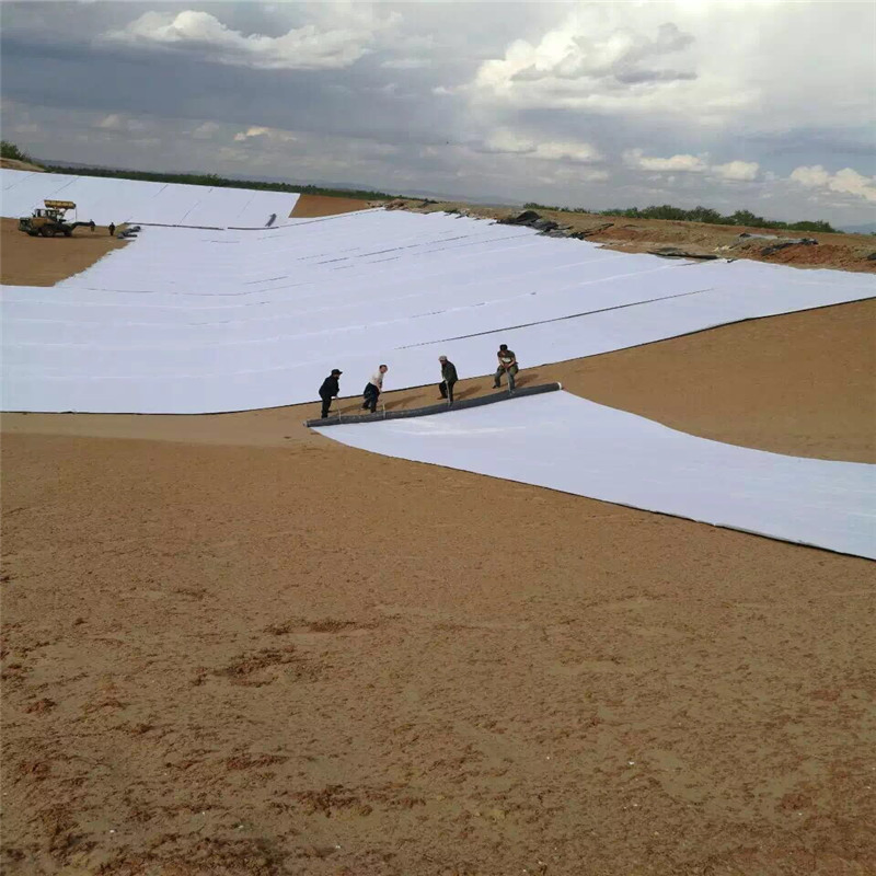 Bentonite Waterproof Pad Gcl Geosynthetic Clay Liners 4500GSM 4800GSM 5000GSM