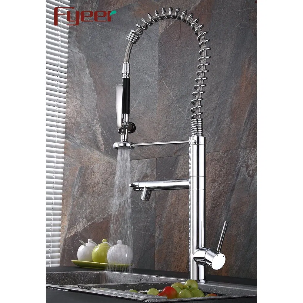 Fyeer Newest Double Spray Pull out Kitchen Sink Faucet