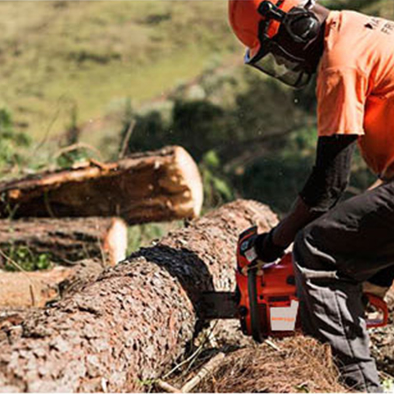 Powerful Hus272 Petrol Chainsaw Price Chain Saw for Sale - Best Price