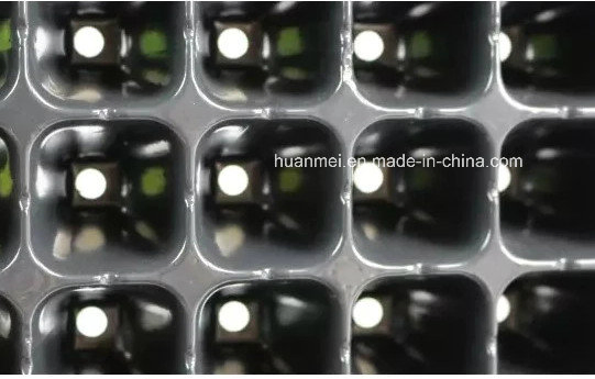 144cells Nursery Propagation Plug Trays Garden Seedling Growing Tray