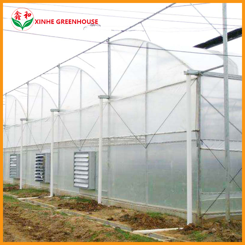 Po 150mic Warm Agro Multi Span Zigzag Agriculture Greenhouse for fruit Vegetables
