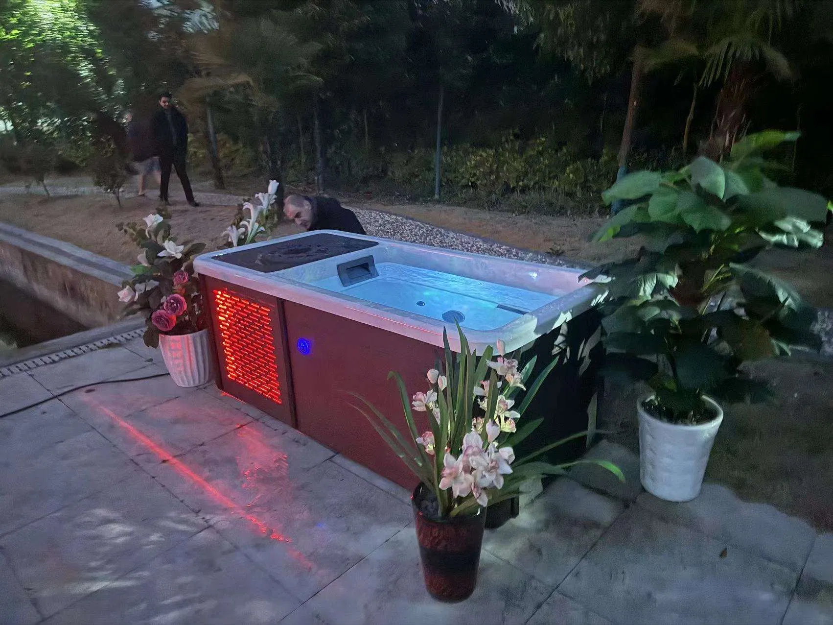 Ванна для ледяных ванн с чиллером и озонатором