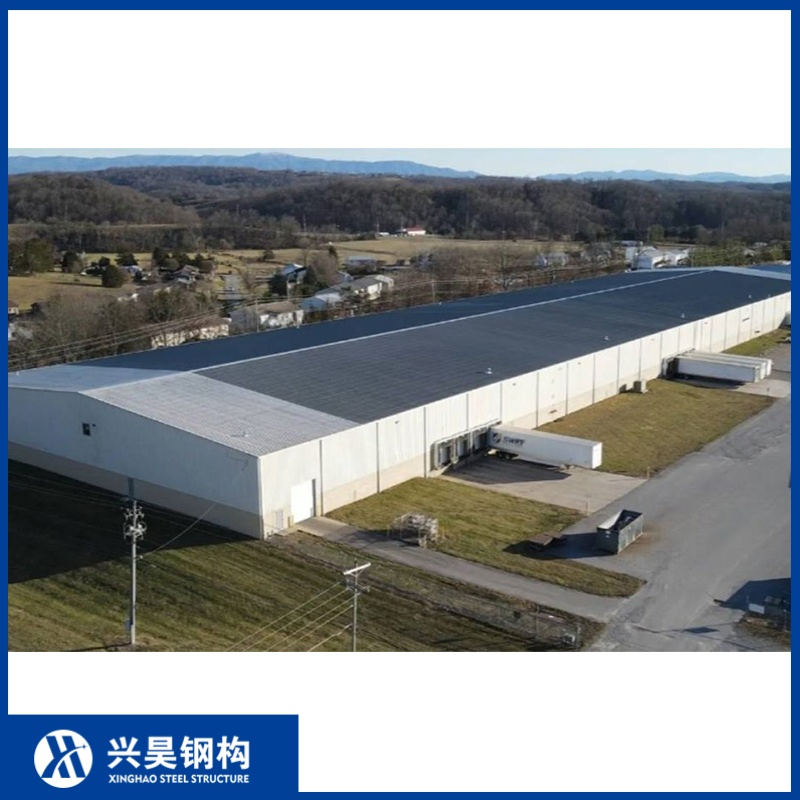 Agricultural Storage Facilities Using Prefabricated Steel Structure Buildings Workshops Warehouses with Steel Frames