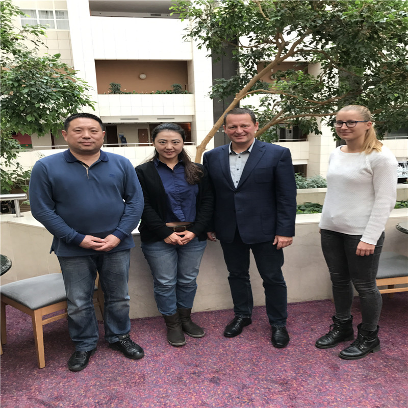 Professional Manufacturer ISO Grinding Forged Steel Balls Grinding Steel Ball for Ball Mill