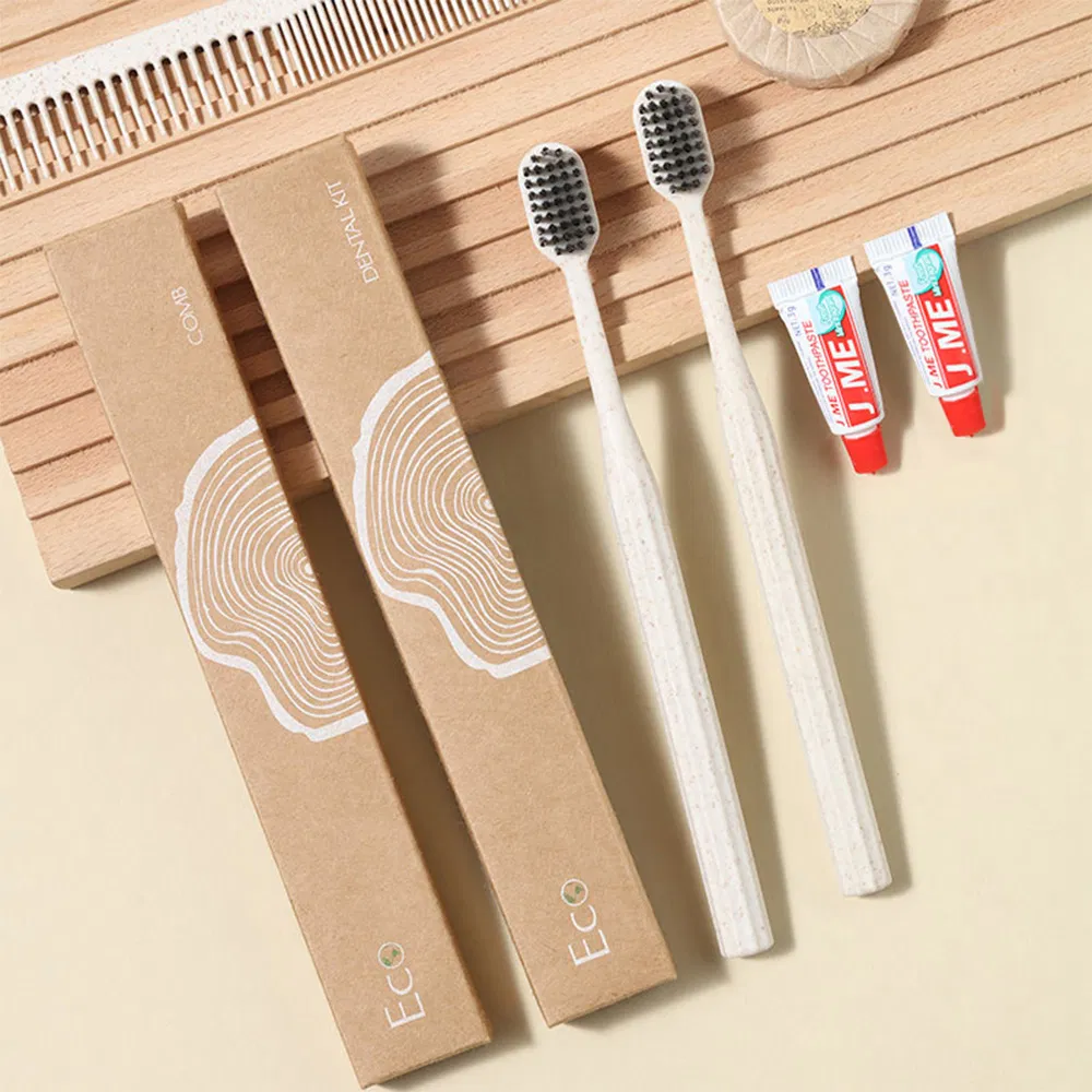 Premium Hotel Disposable Toothbrush Kit for 5-Star Hotels