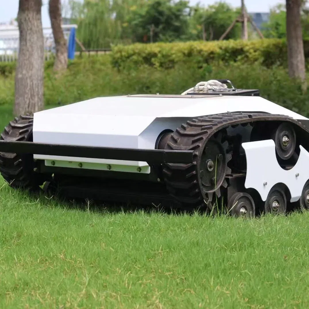 High-Performance 196cc Lawn Mower for Commercial Hotel Landscaping