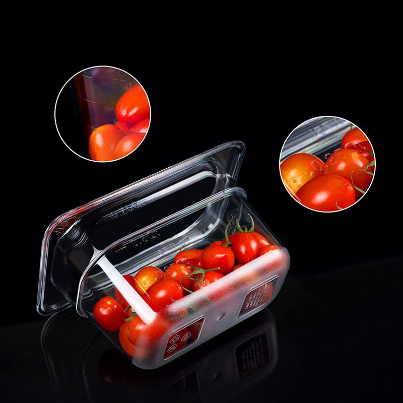 1/9 Size Commercial Catering Equipment Other Hotel Restaurant Supplies Chafing Dish Plastic PC Gastronorm Container Food Gn Pan